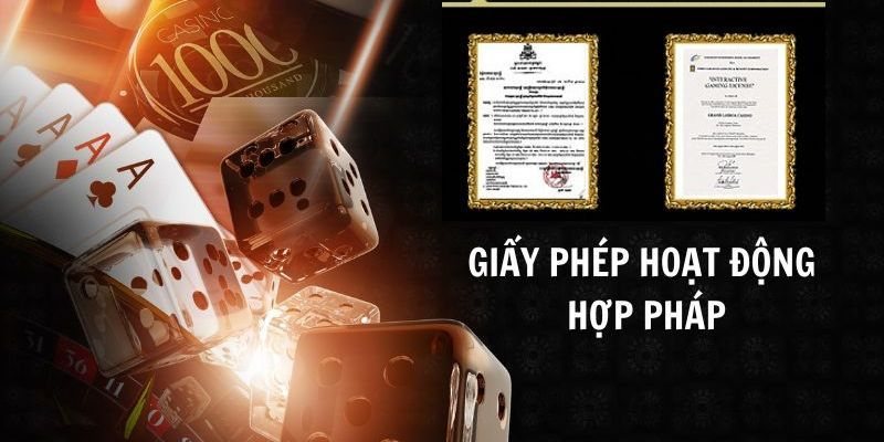 Các vấn đề liên quan đến loại giấy phép này