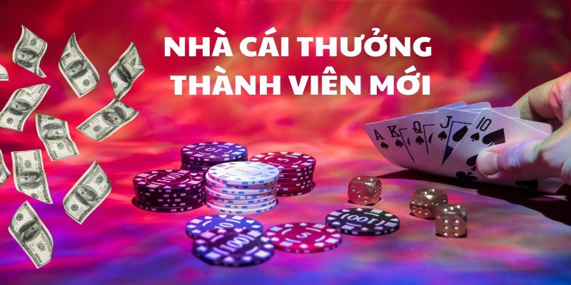 Khuyến mãi thành viên mới hấp dẫn từ nhà cái uy tín nhất