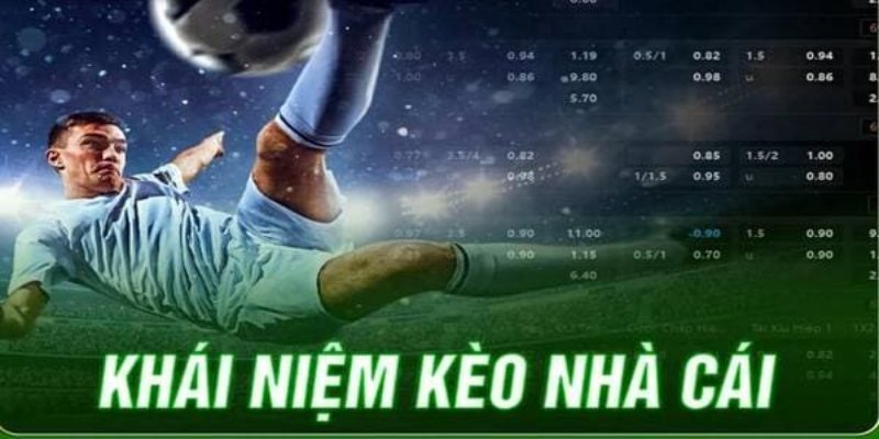 Tổng quan về tỷ lệ kèo bóng đá cho người chơi đam mê cá cược